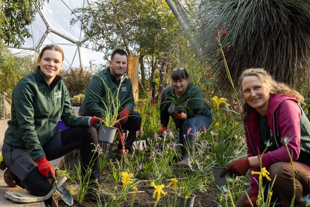 'Pawsome' new plants at the Eden Project