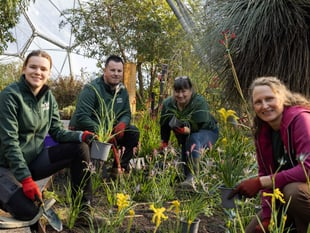 'Pawsome' new plants at the Eden Project