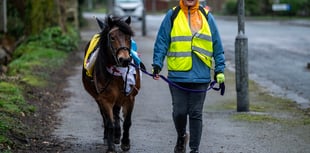 St Austell woman and her horse show support for people of Ukraine
