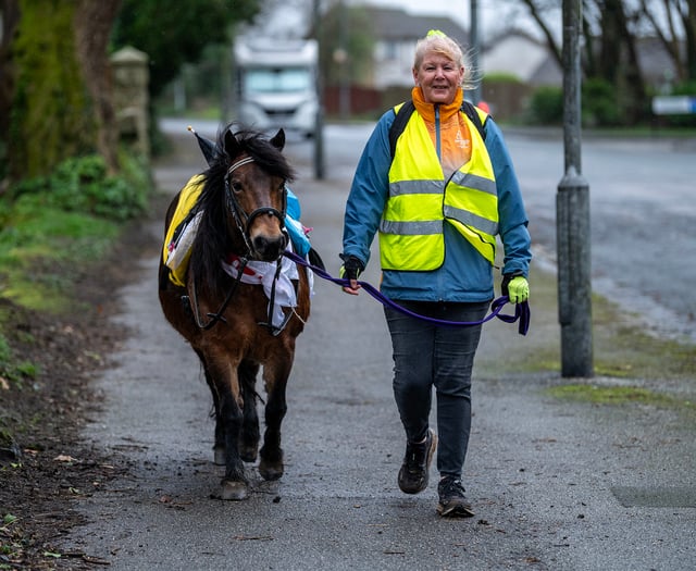 St Austell woman and her horse show support for people of Ukraine