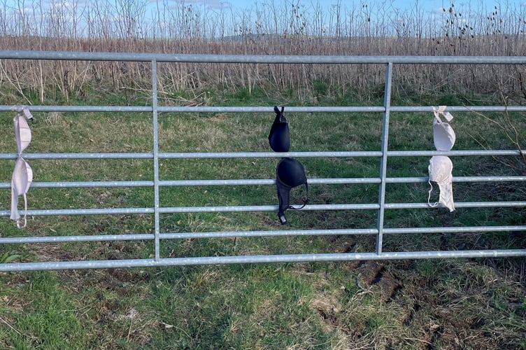 Bras found on gates and on land between Lerryn and Lostwithiel, in south east Cornwall. Photo released March 2 2025. A farmer has been left bewildered after SEVEN bras have mysteriously appeared on gates on country lanes near his land.Michael Irwin, 65, first spotted a red bra two weeks ago, tied to a gate off a country road he travels down often.The farmer, whose land is between Lerryn and Lostwithiel, in south east Cornwall, then saw others appear in nearby rural locations in the days and weeks that followed.Michael said: "When I saw the first one, I thought it was strange, but maybe it just blew out of a window or something.
