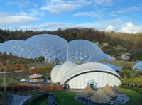 Eden Project to host huge open-air cinema screen