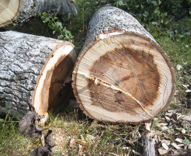 Partnership urges residents to report environmental offences