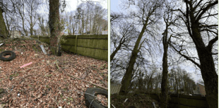 Planning: Permission granted for removal of trees at holiday park