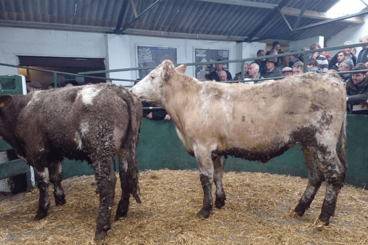 Another centre record of £2630.