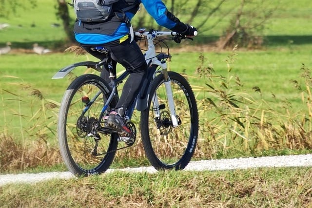 A third of British cyclists are unknowingly breaking the law