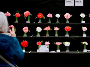 Two day festival that celebrates springtime returns next month