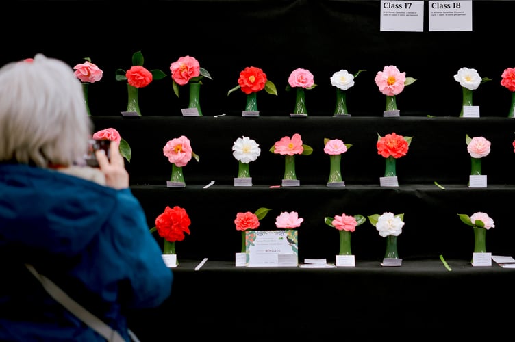 CGS Spring Flower Show 1 - Image Credit Ian Kingsnorth.