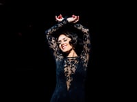 Strictly star talks about musical theatre debut at Hall for Cornwall