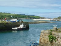 Cornish town known for pasties... and turtles!