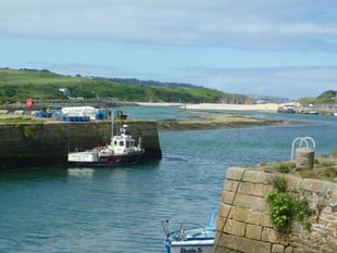 Cornish town known for pasties... and turtles!