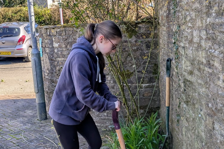 YOUNG farmers helped out by clearing back a space for a new greenhouse