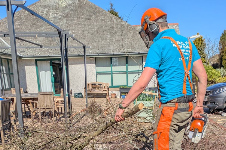YOUNG farmers helped out by clearing back a space for a new greenhouse