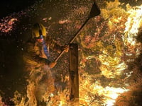 Arson attack at a nature reserve has "devastating” impact on wildlife