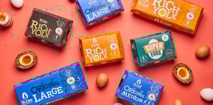 Cornish egg producers first in Europe to achieve B Corp certification