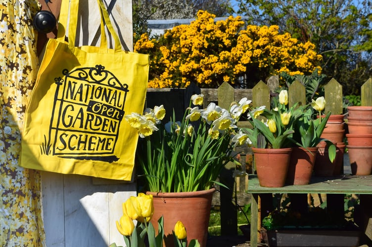 NGS Hanging Bag.