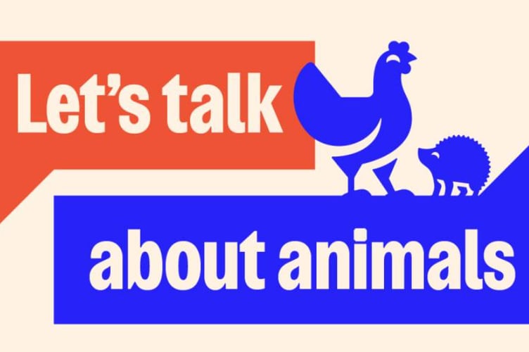 People are being asked to suggest the changes they want individuals, governments, and industry to make for animals