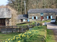 Latest Nature Connects podcast focus on sustainability in tourism