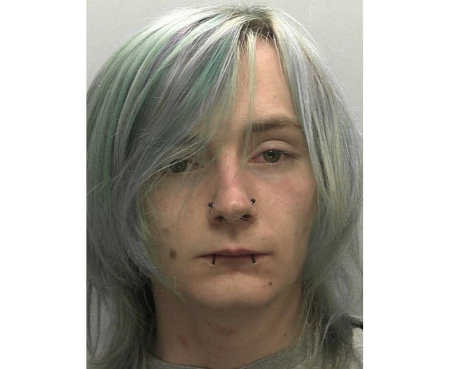 St Austell man sentenced following vicious attack on stranger