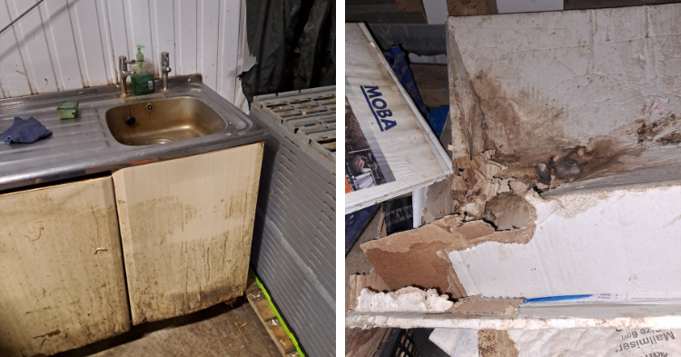 Conditions at Rosedown Eggs when inspectors visited the site in Bodmin in March 2024
