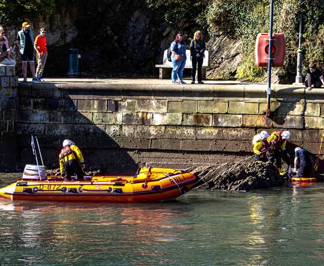 Doggy drama in Looe as local RNLI crew comes to the rescue