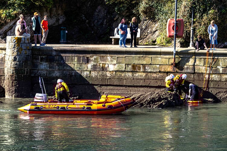 Crew from the Looe RNLI come to the rescue after Roxy the Bulldog fell into the Looe River on Monday Morning