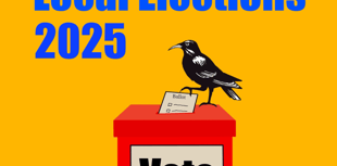 Full list of candidates for Cornwall local elections revealed