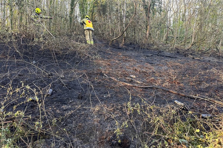 Firefighters deal with the incident in the wooded area on the Pilmere Estate in Saltash
