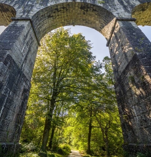 The 19th-century Treffry Viaduct, near Luxulyan is one of 16 historic sites that Cornwall Heritage Trust cares for