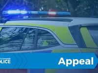 Police launch manhunt after car rams officers and flees scene 