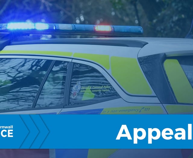 Police seek help for missing Looe man