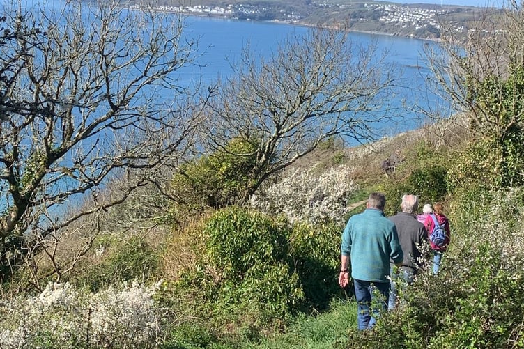 The coastal path from Seaton to Millendreath has been reopened after work to improve the path by Cormac and Natural England. (Picture: Tamar Valley National Landscapes)