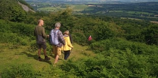 Free weekly guided walks in the Tamar Valley this spring