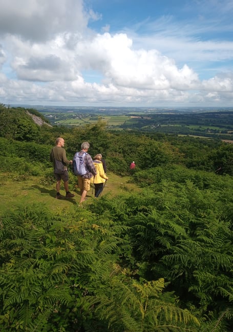 The new walks for April to Spring include Walk and Talk groups for Saltash, Tamar Trails and Tamar and Bere - here at Kit Hill. (Picture: Tamar Valley Landscapes)
