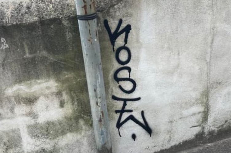 Just some of the graffiti which has been daubed on walls, fences and other property around Looe in recent weeks