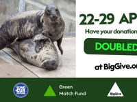 Seal sanctuary launches new campaign aimed at doubling donations