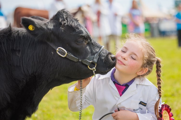 Devon County Show displays the love our local farmers have for their livestock and the high standards they maintain as a result. (Picture: Katie Mortimore Photography)