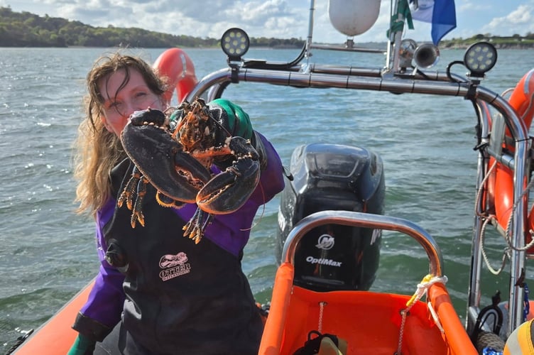 Marine volunteers rescuing sealife from the abandoned 400 metre fishing net in Drake's Island, Plymouth. Dozens of birds and fish have died in 400 metres of abandoned fishing net. Marine volunteers had to spend five hours removing the immense monofilament net from Plymouth Sound National Marine Park on Monday (21 April). The net, which was found at Drake's Island, had entrapped and killed dozens of fish, shags, seabirds, crabs, and lobsters. It is believed the birds drowned after becoming entangled whilst diving into the sea for the fish trapped in the net.