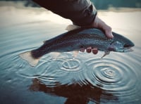 Fishing improves during April at South West Lakes Trusts sites