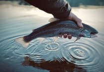 Fishing improves during April at South West Lakes Trusts sites