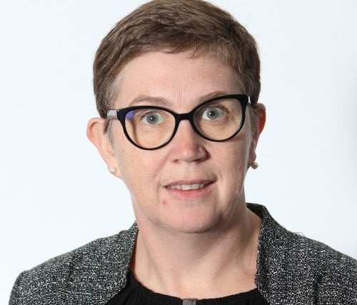 Council CEO takes leave of absence