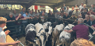 Hallworthy Livestock Market Report: Thursday, May 15