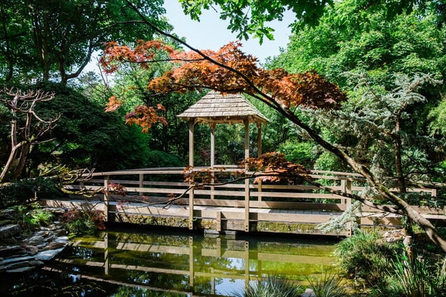Japanese garden to open in support of children's hospice