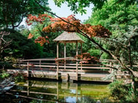 Japanese garden to open in support of children's hospice
