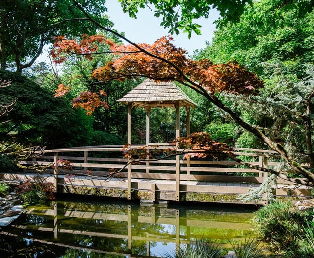 Japanese garden to open in support of children's hospice