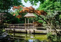 Japanese garden to open in support of children's hospice