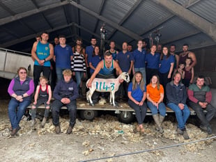 Young Farmers' Club help raise more than £4,000 in 24-hour shearathon