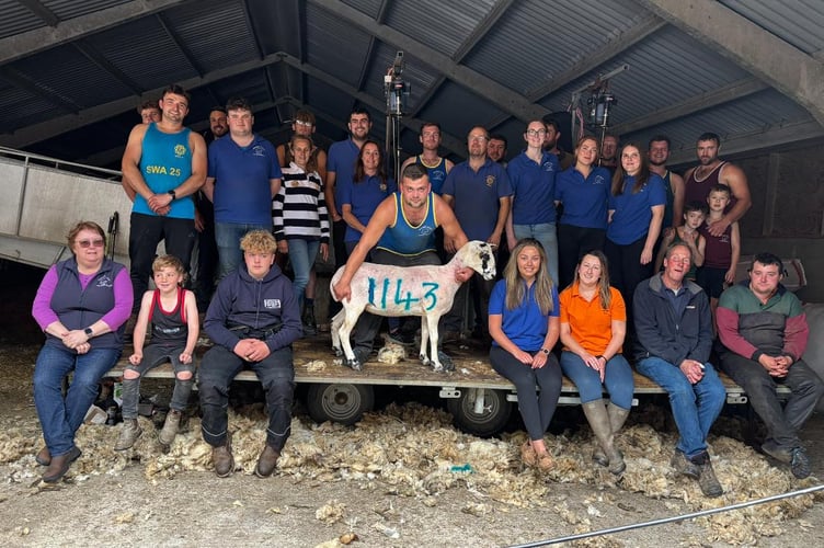 A 24-hour shearathon by members of the Liskeard Young Farmers has seen an incredible 1,143 sheep sheared and raised over £4,000 