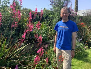 Gardening with Martin Pallett: How to make new plants for free
