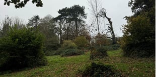 Planning: NHS Trust proposes a community nature hub among plans